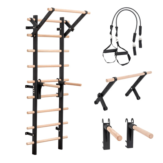 Wall Mounted Swedish Ladder With Pull Up And Dip Station